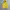 Stussy Streetwear Hoody Pria yellow photo 3