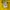 Stussy Streetwear Hoody Pria yellow photo 6