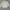 Playboy Y2K Casual Harrington jacket Pria white cream photo 1