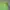 Japanese brand Biker Casual Windbreaker Pria green photo 2
