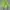 Japanese brand Biker Casual Windbreaker Pria green photo 1