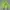 Japanese Brand Biker Casual Windbreaker Pria Green