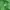 Japanese brand Biker Casual Windbreaker Pria green photo 4