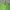 Japanese brand Biker Casual Windbreaker Pria green photo 3