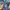 Japanese brand Gorpcore Sportswear Windbreaker Pria blue photo 3