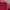 Dunlop Streetwear Sportswear Windbreaker Pria red photo 4