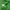 Uniqlo Streetwear Sportswear Sweater Pria green photo 4