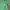 Uniqlo Streetwear Sportswear Sweater Pria green photo 2