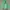 Uniqlo Streetwear Sportswear Sweater Pria Green
