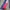 Adidas Gorpcore Sportswear Sweater Pria blue red photo 7