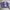 Champion Streetwear Reworked Hoody Pria purple gray photo 2