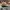 Casual Hat Pria multicolor photo 4