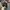 Casual Hat Pria multicolor photo 3