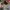 Casual Hat Pria multicolor photo 5
