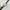 Luxury Minimalist Wanita black photo 6
