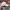 Sportswear Casual Hat Pria white black photo 4