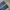 Y2K Jeans Pria blue photo 4