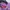 Supreme Streetwear Sweatshirt Pria purple photo 2