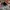 47 Brand Casual Hat Pria gray photo 5