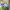 Nike Casual Sneakers Pria navy blue photo 1