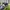Nike Casual Sneakers Pria navy blue photo 3