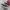 Converse Indie Casual Sneakers Pria white red photo 1