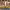 11/10 Studio Coquette Batik Kimono Wanita tan brown photo 1