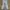 Y2K Grunge Jeans Pria gray photo 2