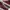 Converse Emo Casual Sneakers Pria burgundy white photo 2