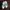 Adidas Streetwear Sneakers Wanita white green photo 1