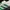 Adidas Streetwear Sneakers Wanita white green photo 3