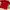 Minimalist Wallet Pria red photo 2