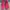 Adidas Streetwear Casual Sneakers Pria red photo 1