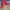 Adidas Streetwear Casual Sneakers Pria red photo 6