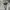 Vintage Puffer jacket Wanita silver gray photo 4