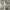 National Geographic Y2K Casual Sweatpants & Joggers Pria gray photo 8
