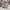 Spao Y2K Casual Sweatpants & Joggers Pria Gray