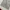 Spao Y2K Casual Sweatpants & Joggers Pria gray photo 5