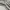 Spao Y2K Casual Sweatpants & Joggers Pria gray photo 7