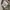 Spao Y2K Casual Sweatpants & Joggers Pria gray photo 6