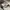 Spao Y2K Casual Sweatpants & Joggers Pria gray photo 4