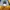 VAN Vintage Casual Harrington jacket Pria yellow photo 4