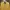 VAN Vintage Casual Harrington jacket Pria yellow photo 2