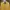 VAN Vintage Casual Harrington Jacket Pria Yellow