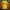Blackyak Sportswear Casual Track jacket Pria yellow photo 6