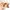 Disney Luxury Lolita Jewellery Kids red black photo 7