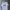 Gildan Vintage T-shirt Pria white photo 1
