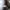 Global Work Streetwear Casual Harrington jacket Pria gray photo 4