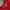 Nike Vintage Sportswear Jersey Pria red photo 6