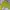 Casual Crop top Wanita yellow photo 1